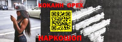 шишки Дубна