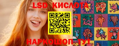 шишки Дубна