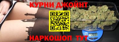 шишки Дубна