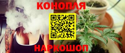 шишки Дубна