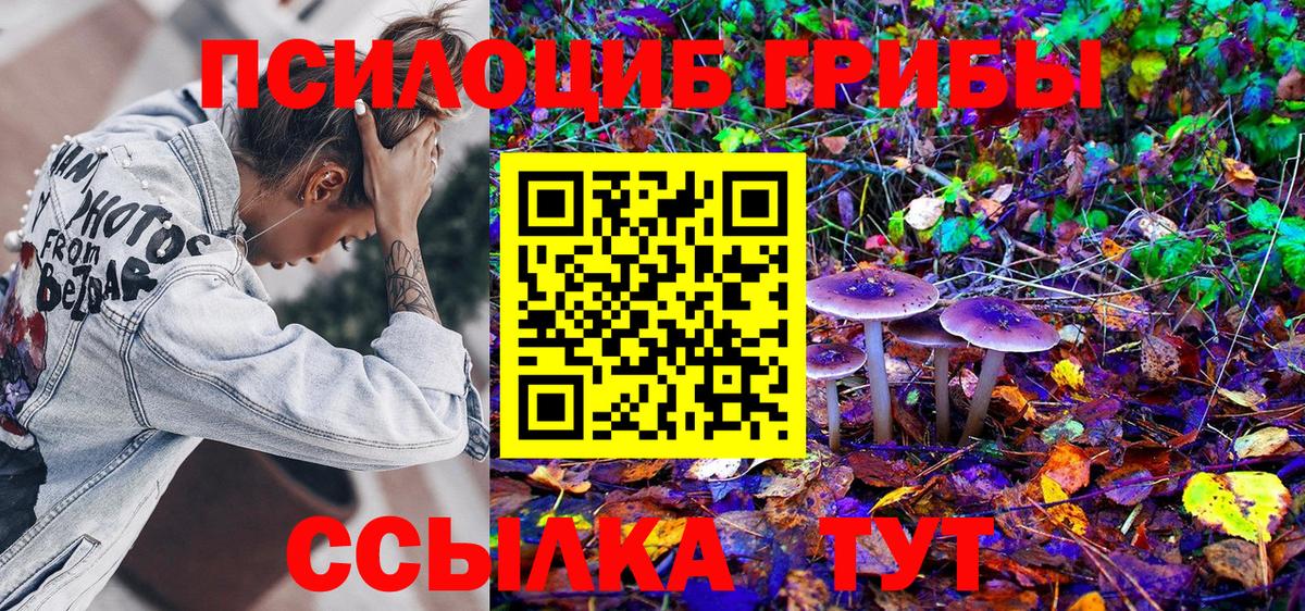 Галлюциногенные грибы мухоморы  Вход с VPN  Мурино 