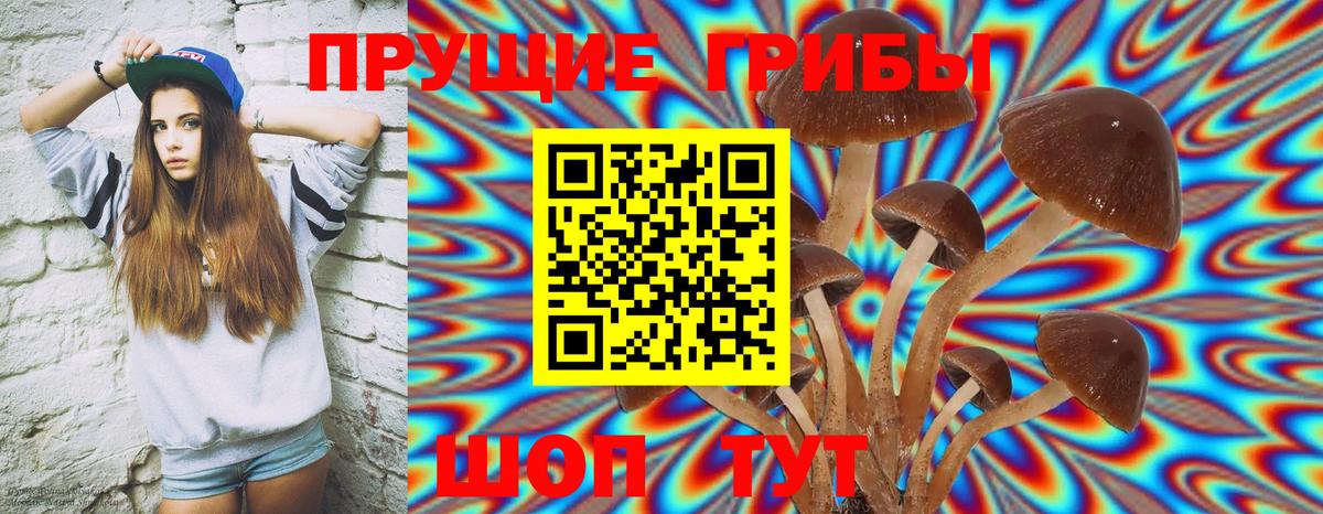 Псилоцибиновые грибы GOLDEN TEACHER Мурино